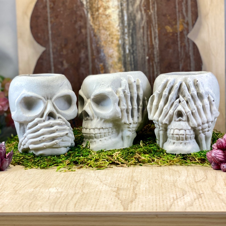 No Evil Concrete Skull Planter — styled room